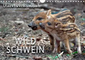 Roder |  Unverwechselbar - Wildschwein (Wandkalender 2020 DIN A4 quer) | Sonstiges |  Sack Fachmedien
