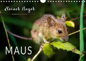 Roder |  Kleiner Nager - Maus (Wandkalender 2020 DIN A4 quer) | Sonstiges |  Sack Fachmedien
