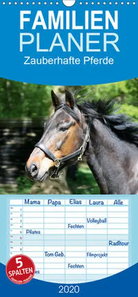 Daus |  Zauberhafte Pferde - Familienplaner hoch (Wandkalender 2020 , 21 cm x 45 cm, hoch) | Sonstiges |  Sack Fachmedien