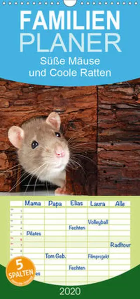 Eppele |  Süße Mäuse und Coole Ratten - Familienplaner hoch (Wandkalender 2020 , 21 cm x 45 cm, hoch) | Sonstiges |  Sack Fachmedien