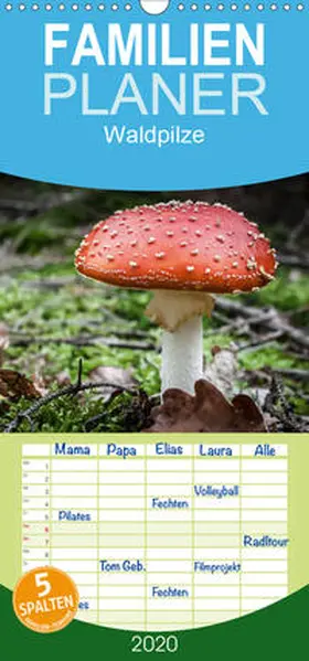 Schwind |  Waldpilze - Familienplaner hoch (Wandkalender 2020 , 21 cm x 45 cm, hoch) | Sonstiges |  Sack Fachmedien