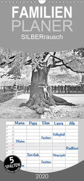 Zimmermann |  SILBERrausch - Familienplaner hoch (Wandkalender 2020 , 21 cm x 45 cm, hoch) | Sonstiges |  Sack Fachmedien