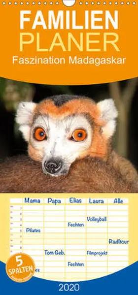 Raab |  Faszination Madagaskar  - Familienplaner hoch (Wandkalender 2020 , 21 cm x 45 cm, hoch) | Sonstiges |  Sack Fachmedien