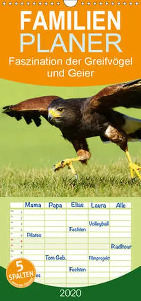 Müller |  Faszination der Greifvögel und Geier  - Familienplaner hoch (Wandkalender 2020 , 21 cm x 45 cm, hoch) | Sonstiges |  Sack Fachmedien