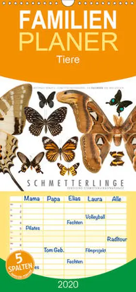 Gerlach |  Emotionale Momente: Schmetterlinge - exotische Schmetterlingspräparate - Familienplaner hoch (Wandkalender 2020 , 21 cm x 45 cm, hoch) | Sonstiges |  Sack Fachmedien