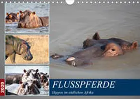 Quentin |  Hippos im südlichen Afrika (Wandkalender 2020 DIN A4 quer) | Sonstiges |  Sack Fachmedien