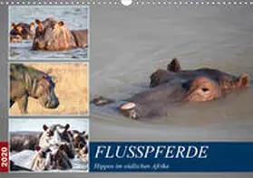 Quentin |  Hippos im südlichen Afrika (Wandkalender 2020 DIN A3 quer) | Sonstiges |  Sack Fachmedien