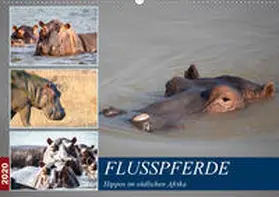 Quentin |  Hippos im südlichen Afrika (Wandkalender 2020 DIN A2 quer) | Sonstiges |  Sack Fachmedien
