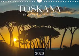 Hoffmann |  TOSKANA im magischen Licht (Wandkalender 2020 DIN A4 quer) | Sonstiges |  Sack Fachmedien