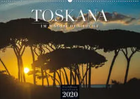 Hoffmann |  TOSKANA im magischen Licht (Wandkalender 2020 DIN A2 quer) | Sonstiges |  Sack Fachmedien