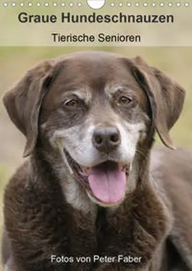 Faber |  Graue Hundeschnauzen - Tierische Senioren (Wandkalender 2020 DIN A4 hoch) | Sonstiges |  Sack Fachmedien