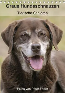 Faber |  Graue Hundeschnauzen - Tierische Senioren (Tischkalender 2020 DIN A5 hoch) | Sonstiges |  Sack Fachmedien