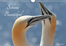Ott |  Schöne Basstölpel (Wandkalender 2020 DIN A4 quer) | Sonstiges |  Sack Fachmedien
