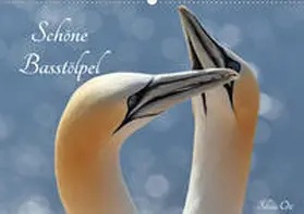 Ott |  Schöne Basstölpel (Wandkalender 2020 DIN A2 quer) | Sonstiges |  Sack Fachmedien