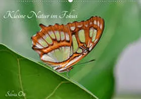 Ott |  Kleine Natur im Fokus (Wandkalender 2020 DIN A2 quer) | Sonstiges |  Sack Fachmedien