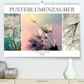 Delgado |  PusteblumenZauber(Premium, hochwertiger DIN A2 Wandkalender 2020, Kunstdruck in Hochglanz) | Sonstiges |  Sack Fachmedien