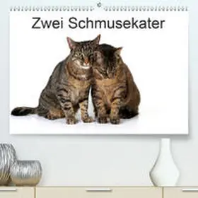 Eppele |  Zwei Schmusekater(Premium, hochwertiger DIN A2 Wandkalender 2020, Kunstdruck in Hochglanz) | Sonstiges |  Sack Fachmedien