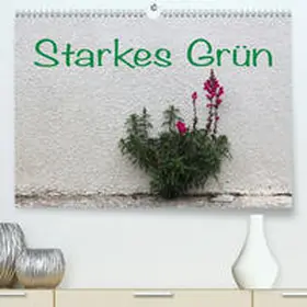 Reichenauer |  Starkes Grün(Premium, hochwertiger DIN A2 Wandkalender 2020, Kunstdruck in Hochglanz) | Sonstiges |  Sack Fachmedien