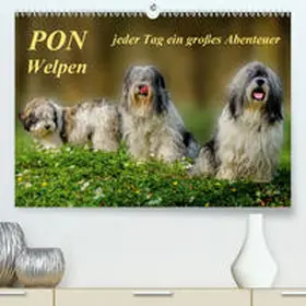 Roder |  PON - Welpen,  jeder Tag ein großes Abenteuer(Premium, hochwertiger DIN A2 Wandkalender 2020, Kunstdruck in Hochglanz) | Sonstiges |  Sack Fachmedien