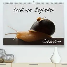 Geiling |  Lautlose Begleiter - Schnecken(Premium, hochwertiger DIN A2 Wandkalender 2020, Kunstdruck in Hochglanz) | Sonstiges |  Sack Fachmedien