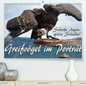 Reiter |  Scharfe Augen, spitze Schnäbel! Greifvögel im Porträt(Premium, hochwertiger DIN A2 Wandkalender 2020, Kunstdruck in Hochglanz) | Sonstiges |  Sack Fachmedien