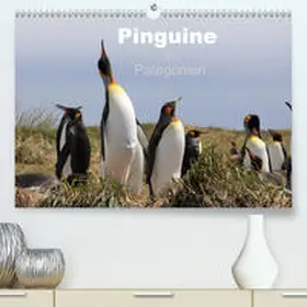 Köhler |  Pinguine in Patagonien(Premium, hochwertiger DIN A2 Wandkalender 2020, Kunstdruck in Hochglanz) | Sonstiges |  Sack Fachmedien