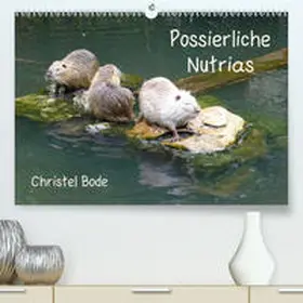 Bode |  Possierliche Nutrias(Premium, hochwertiger DIN A2 Wandkalender 2020, Kunstdruck in Hochglanz) | Sonstiges |  Sack Fachmedien
