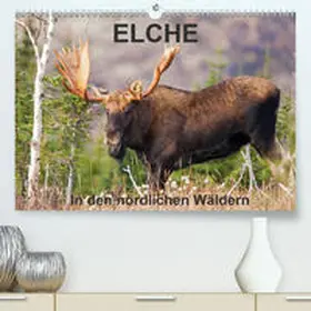 Henry |  ELCHE In den nördlichen Wäldern(Premium, hochwertiger DIN A2 Wandkalender 2020, Kunstdruck in Hochglanz) | Sonstiges |  Sack Fachmedien