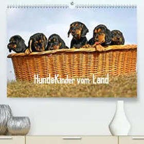 Müller |  Hundekinder vom Land(Premium, hochwertiger DIN A2 Wandkalender 2020, Kunstdruck in Hochglanz) | Sonstiges |  Sack Fachmedien