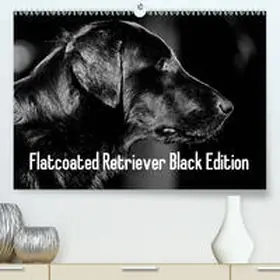Müller |  Flatcoated Retriever Black Edition(Premium, hochwertiger DIN A2 Wandkalender 2020, Kunstdruck in Hochglanz) | Sonstiges |  Sack Fachmedien