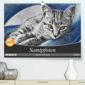 Felix |  Samtpfoten - Katzen in Pastell(Premium, hochwertiger DIN A2 Wandkalender 2020, Kunstdruck in Hochglanz) | Sonstiges |  Sack Fachmedien