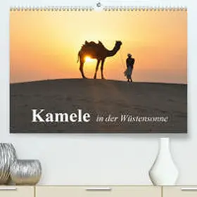 Stanzer |  Kamele in der Wüstensonne(Premium, hochwertiger DIN A2 Wandkalender 2020, Kunstdruck in Hochglanz) | Sonstiges |  Sack Fachmedien