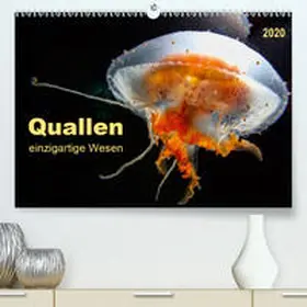 Roder |  Quallen - einzigartige Wesen(Premium, hochwertiger DIN A2 Wandkalender 2020, Kunstdruck in Hochglanz) | Sonstiges |  Sack Fachmedien