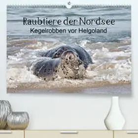 Quentin |  Raubtier der Nordsee - Kegelrobben vor Helgoland(Premium, hochwertiger DIN A2 Wandkalender 2020, Kunstdruck in Hochglanz) | Sonstiges |  Sack Fachmedien