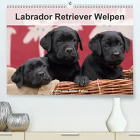Faber |  Labrador Retriever Welpen(Premium, hochwertiger DIN A2 Wandkalender 2020, Kunstdruck in Hochglanz) | Sonstiges |  Sack Fachmedien