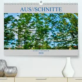 Werner |  Aus//schnitte(Premium, hochwertiger DIN A2 Wandkalender 2020, Kunstdruck in Hochglanz) | Sonstiges |  Sack Fachmedien