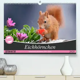 Meier |  Eichhörnchen Momentaufnahmen fürs Herz(Premium, hochwertiger DIN A2 Wandkalender 2020, Kunstdruck in Hochglanz) | Sonstiges |  Sack Fachmedien