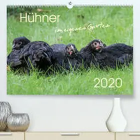 Stephan |  Hühner im eigenen Garten(Premium, hochwertiger DIN A2 Wandkalender 2020, Kunstdruck in Hochglanz) | Sonstiges |  Sack Fachmedien