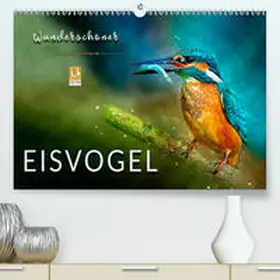 Roder |  Wunderschöner Eisvogel(Premium, hochwertiger DIN A2 Wandkalender 2020, Kunstdruck in Hochglanz) | Sonstiges |  Sack Fachmedien