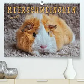 Roder |  Meerschweinchen - so süß(Premium, hochwertiger DIN A2 Wandkalender 2020, Kunstdruck in Hochglanz) | Sonstiges |  Sack Fachmedien