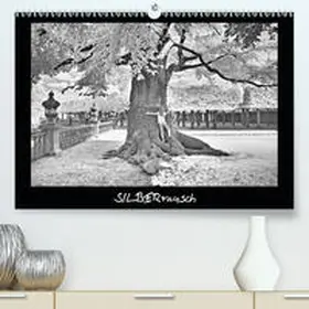 Zimmermann |  SILBERrausch(Premium, hochwertiger DIN A2 Wandkalender 2020, Kunstdruck in Hochglanz) | Sonstiges |  Sack Fachmedien