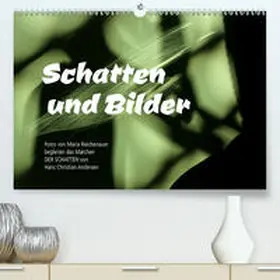 Reichenauer |  Schatten und Bilder(Premium, hochwertiger DIN A2 Wandkalender 2020, Kunstdruck in Hochglanz) | Sonstiges |  Sack Fachmedien