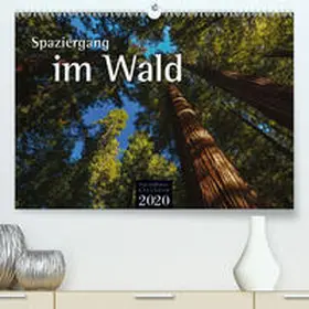 Hoffmann |  Spaziergang im Wald(Premium, hochwertiger DIN A2 Wandkalender 2020, Kunstdruck in Hochglanz) | Sonstiges |  Sack Fachmedien