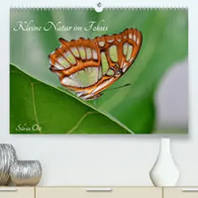 Ott |  Kleine Natur im Fokus(Premium, hochwertiger DIN A2 Wandkalender 2020, Kunstdruck in Hochglanz) | Sonstiges |  Sack Fachmedien