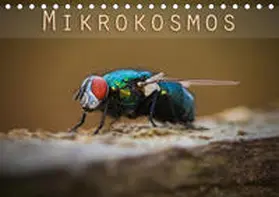Will |  Mikrokosmos (Tischkalender 2020 DIN A5 quer) | Sonstiges |  Sack Fachmedien