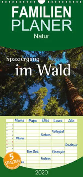 Hoffmann |  Spaziergang im Wald - Familienplaner hoch (Wandkalender 2020 , 21 cm x 45 cm, hoch) | Sonstiges |  Sack Fachmedien
