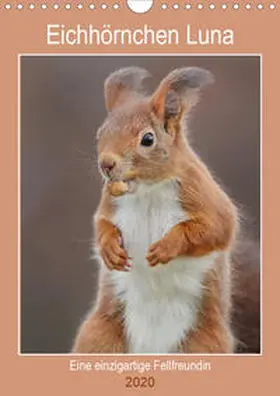 Meier |  Eichhörnchen Luna (Wandkalender 2020 DIN A4 hoch) | Sonstiges |  Sack Fachmedien