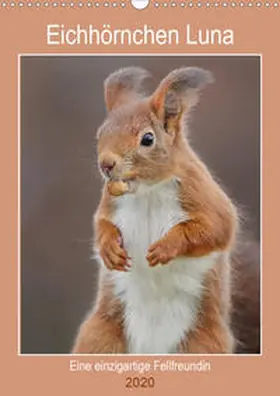 Meier |  Eichhörnchen Luna (Wandkalender 2020 DIN A3 hoch) | Sonstiges |  Sack Fachmedien
