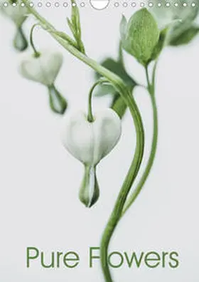 Lauermann |  Pure Flowers (Wandkalender 2020 DIN A4 hoch) | Sonstiges |  Sack Fachmedien