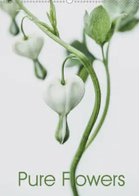Lauermann |  Pure Flowers (Wandkalender 2020 DIN A2 hoch) | Sonstiges |  Sack Fachmedien